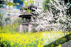 重庆西部新城人口达到60万 远超过十年前预期