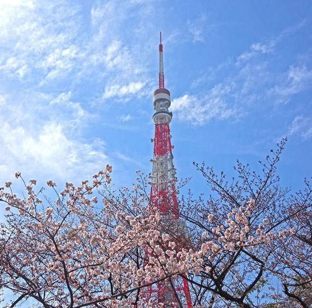 全球城市人口数量排行榜:国内一城上榜
