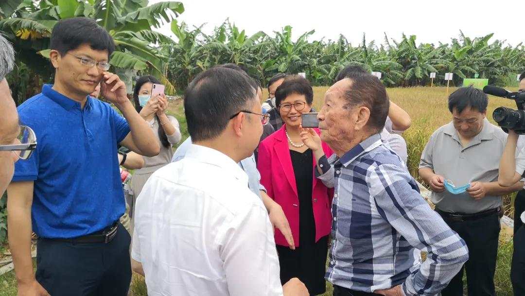 湖南人口_袁隆平:改造1亿亩盐碱地种水稻,每年能多养活8000多万人口