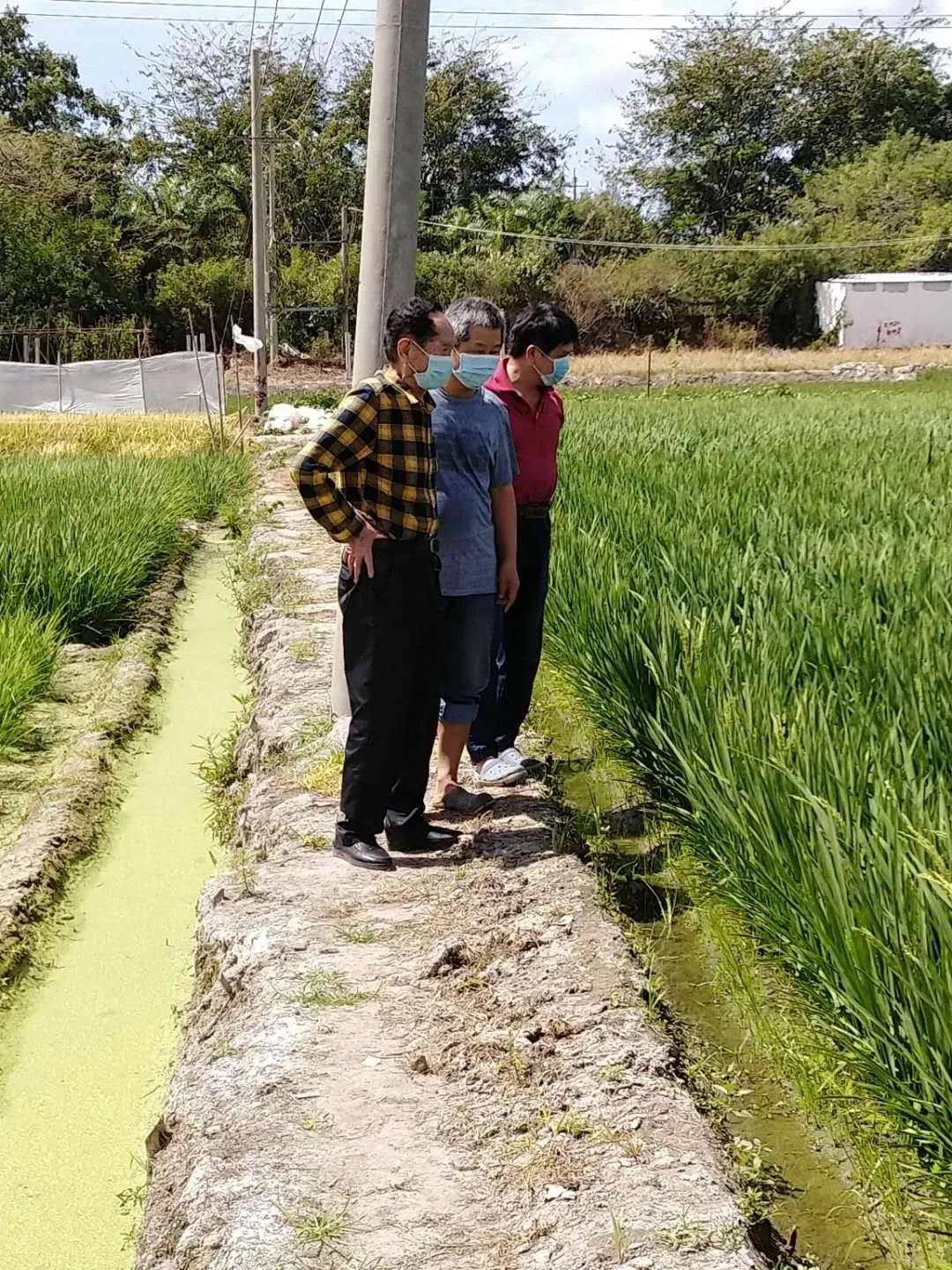 济南人口_袁隆平：改造1亿亩盐碱地种水稻,每年能多养活8000多万人口