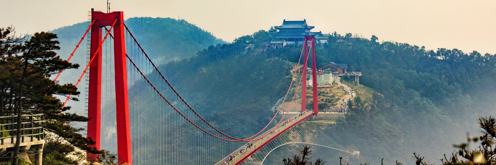 山东人口_解读丨2019年常住人口数据出炉人口流动与房企布局&ldquo;步伐一致&
