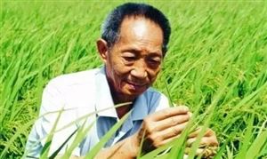 上海人口2019总人数口_2019美国人口总数是多少?世界各国人口总数排行榜前1