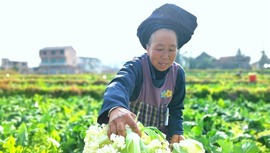 贵阳人口_贵州最尴尬的城市人口比贵阳多200万,但经济只有一半